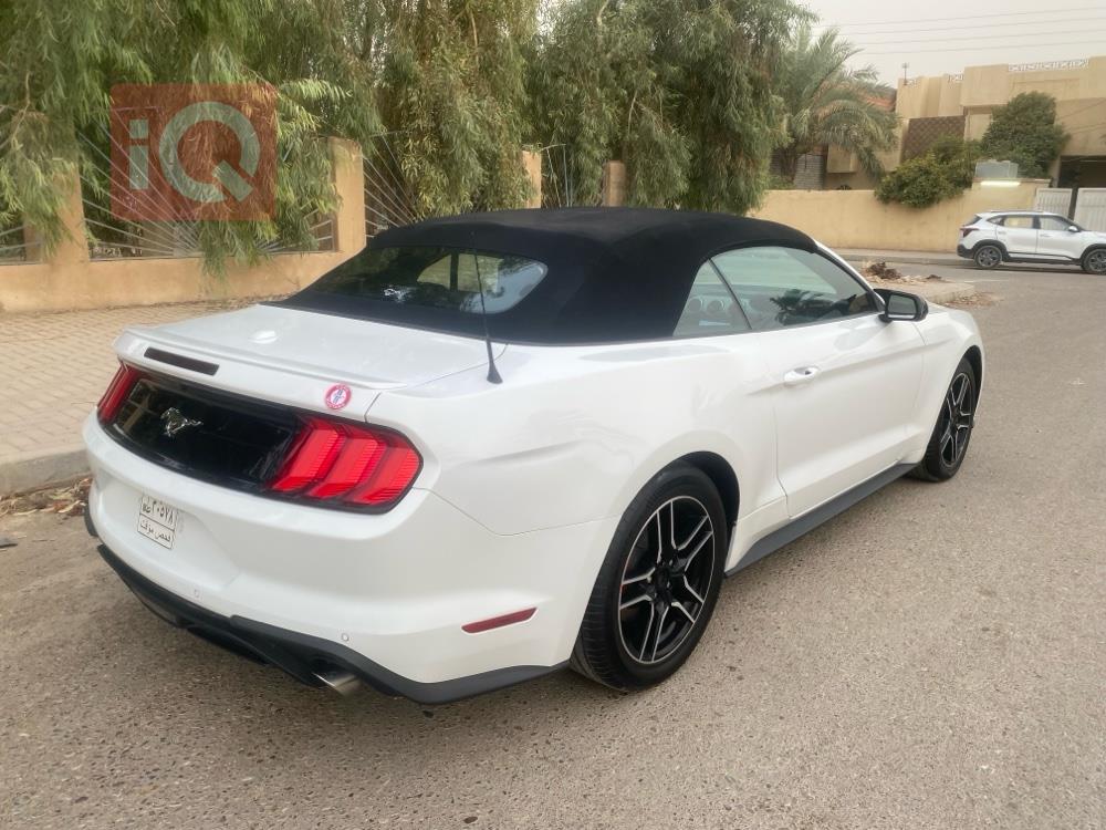 فۆرد مۆستانگ